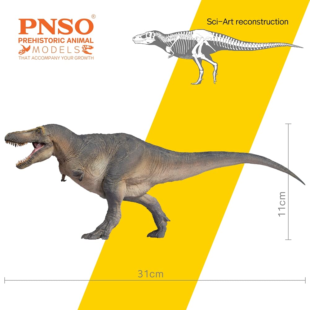 PNSO 51 タルボサウルス 恐竜 フィギュア子供 おもちゃ プレゼント Amazon.co.jp: PNSO 先史時代恐竜モデル:51 タルボサウルスの